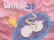 孕31周的胎教重点