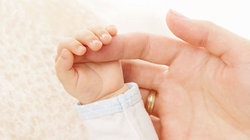 补抵抗力的红薯丸子  