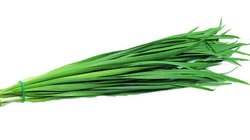 补抵抗力的红薯丸子  