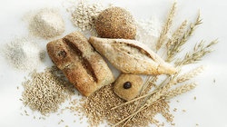 补抵抗力的红薯丸子  