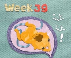 补抵抗力的红薯丸子  