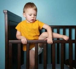 补抵抗力的红薯丸子  