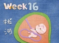孕16周的胎教重点