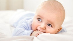 补抵抗力的红薯丸子  