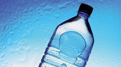 补抵抗力的红薯丸子  