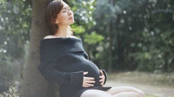 补抵抗力的红薯丸子  