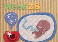 孕28周的胎教重点