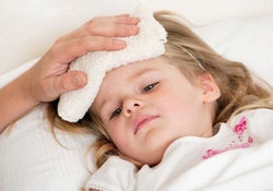 补抵抗力的红薯丸子  