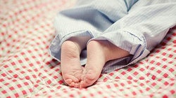 补抵抗力的红薯丸子  