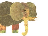 胎教故事《大象的长鼻子》