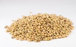 补抵抗力的红薯丸子  