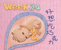 补抵抗力的红薯丸子  