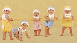 补抵抗力的红薯丸子  