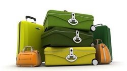 补抵抗力的红薯丸子  