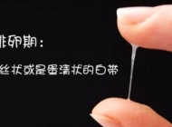 4种方法：教你如何自测排卵期