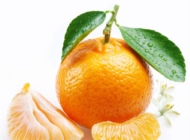 怀孕能不能吃橘子