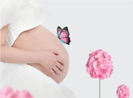 怀孕期间容易发生畸形的原因1