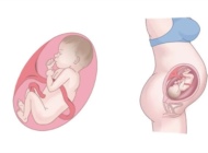 盘点胎宝宝和准妈妈的身体变化 