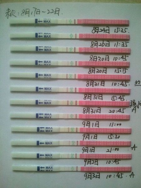 补抵抗力的红薯丸子  