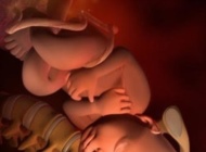 孕期要点——41周 胎宝宝发育
