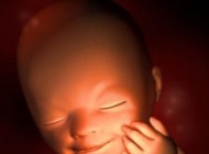 孕期要点——19周 胎宝宝发育