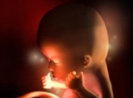 孕期要点——12周 胎宝宝发育